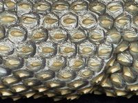 澳发现新种有毒海蛇全身覆盖带刺鳞片(图) 澳发现新种有毒海蛇全身覆盖带刺鳞片(图)