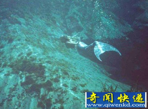 史上最受争议的照片：“深海人鱼”居首