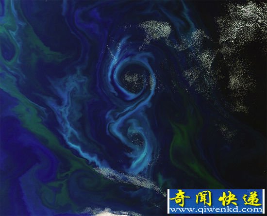 海洋深处富含矿物质的海水被洋流卷起,上升至海面附近,吸引大量浮游生物在此繁殖。从太空看起来,这里的水面上呈现出巨大的蓝绿色图案 南美大西洋浮游生物爆发呈现巨大“8”字图案
