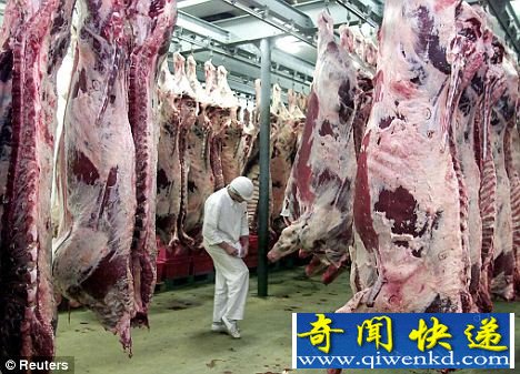 环保组织Peta悬赏奖励合成肉类的研究工作,希望这项工作将有助于减少人类对动物的杀戮 科学家称实验室合成肉类将变现实(图)