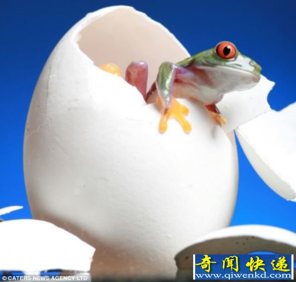ӰɰƬ