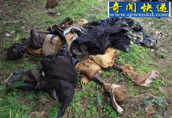 恐怖的僵尸图片大全,真实存在的嗜血僵尸
