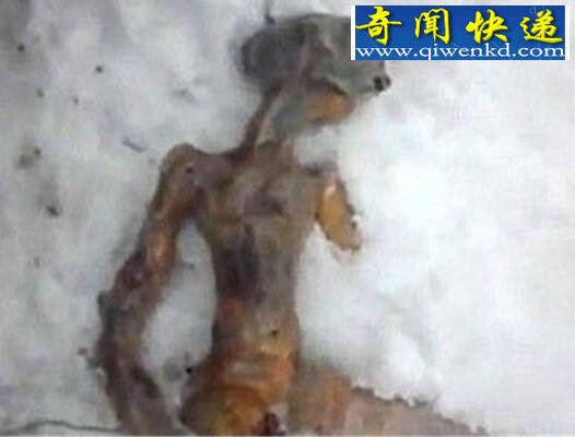 揭秘dyatlov事件经过,dyatlov事件真相最终曝光