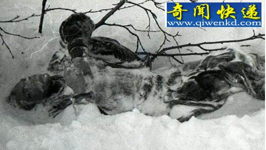 揭秘dyatlov事件经过,dyatlov事件真相最终曝光