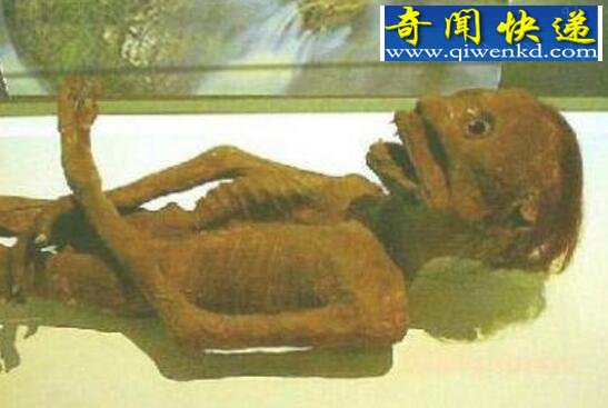 河童是什么生物,真实的河童图片大全