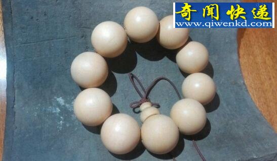 降龙木是什么,一种灌木丛生植物(世界珍贵野生资源)