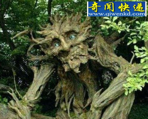 吃人植物食人柳,折磨猎物致死后吐出白骨(虚构)