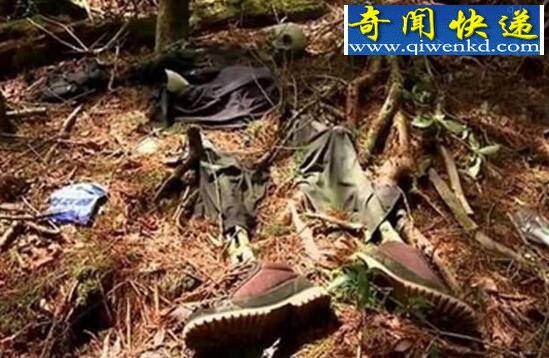 吃人植物食人柳,折磨猎物致死后吐出白骨(虚构)