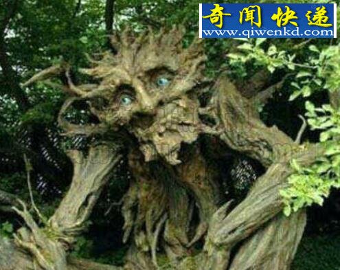 外表娇艳的食人花,吞食十条生命才会开一朵花