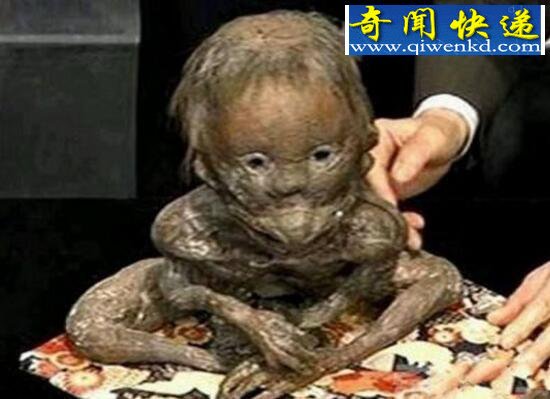 揭秘水猴子图片,水鬼拉人下水当替死