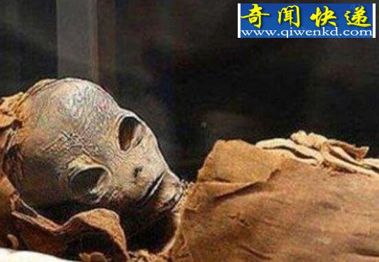 盘点震惊世界的十大外星生物,揭开外星生物神秘面纱