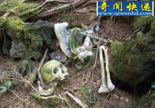世界上最凶猛的植物,食人树奠柏(虚构)