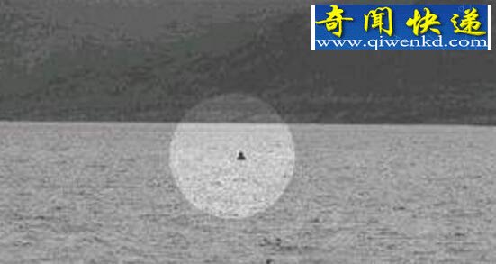 揭开加拿大水怪奥古布古之谜,真实面目疑似黑色海蛇