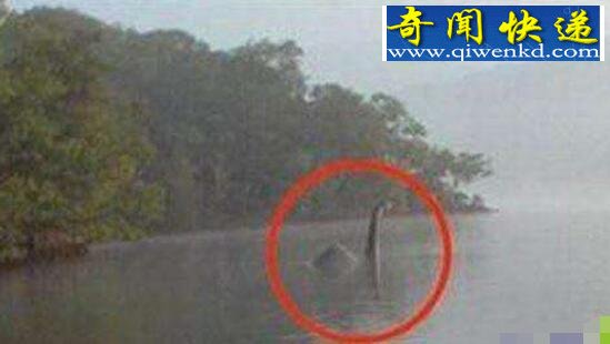 揭开加拿大水怪奥古布古之谜,真实面目疑似黑色海蛇
