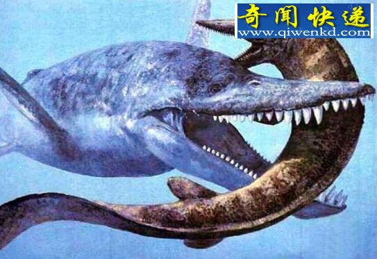 侏罗纪“妖怪”上龙,远古海洋的最高统治者