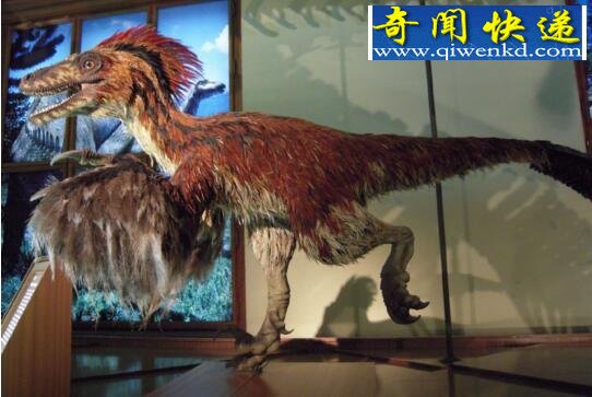 最厉害的肉食性恐龙,恐爪龙(高4米/重160斤)