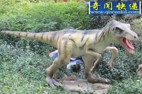最厉害的肉食性恐龙,恐爪龙(高4米/重160斤)