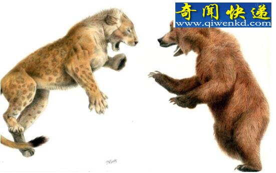 欧洲洞狮,冰河世纪末最后的霸主