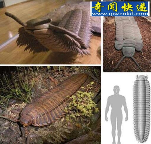 远古蜈蚣虫,地球史上最大的蜈蚣(体长3米)