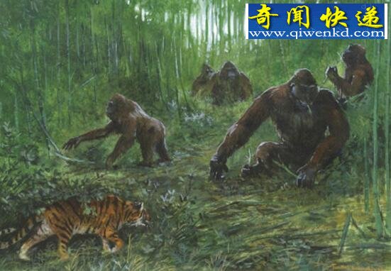 远古蜈蚣虫,地球史上最大的蜈蚣(体长3米)