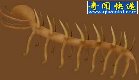 来自外星球的异形动物,怪诞虫(背上长七对长刺)