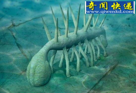 来自外星球的异形动物,怪诞虫(背上长七对长刺)