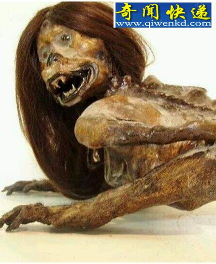世界上有没有美人鱼,美人鱼竟真实存在(附图)