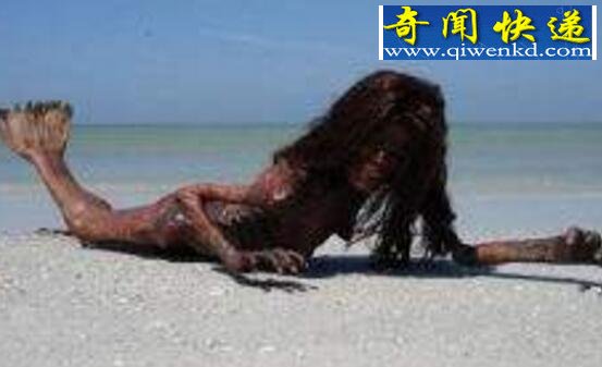 世界上有没有美人鱼,美人鱼竟真实存在(附图)