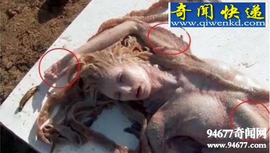 黑鳞鲛人,生存在南海的美人鱼