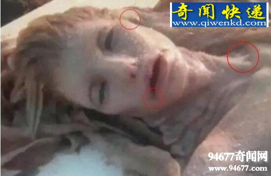 黑鳞鲛人,生存在南海的美人鱼