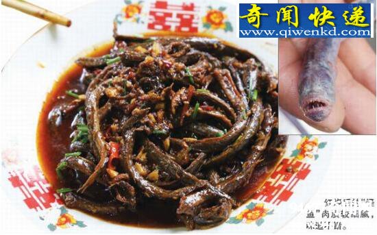 红狼牙鰕虎鱼,可以食用的凶残怪鱼