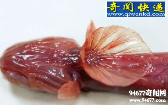 紫鳗虾虎鱼,成熟后自身破体而出(形似外星生物)