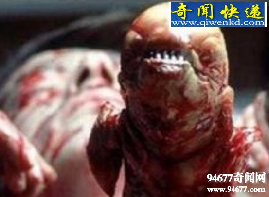 紫鳗虾虎鱼,成熟后自身破体而出(形似外星生物)