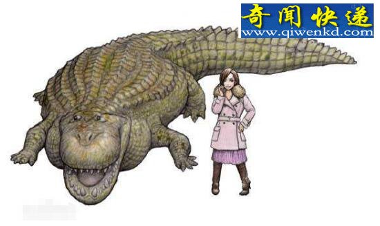 亚马逊莫拉氏鳄,比恐龙凶猛的超级巨鳄