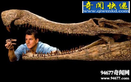 亚马逊莫拉氏鳄,比恐龙凶猛的超级巨鳄