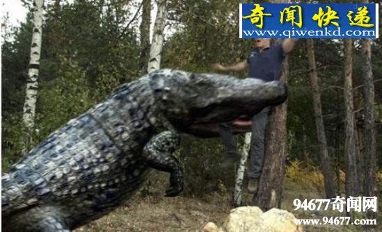 亚马逊莫拉氏鳄,比恐龙凶猛的超级巨鳄