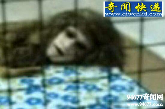 人面犬惊现美国,盘点诡异至极的人面动物