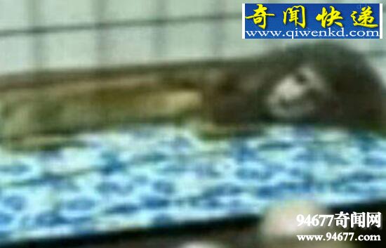 人面犬惊现美国,盘点诡异至极的人面动物