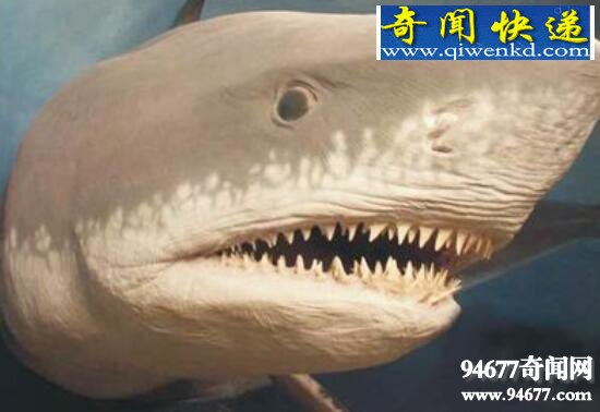 ʷǰޣ̫(ưԺ)