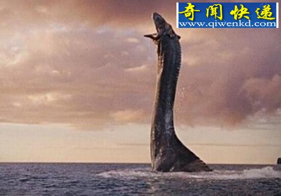 盘点世界十大深海巨兽,来自深海的十大怪物