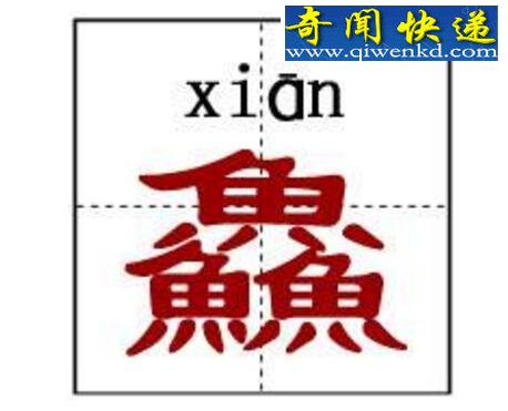 世界上最难的汉字,龖鱻猋麤骉(一字不识)