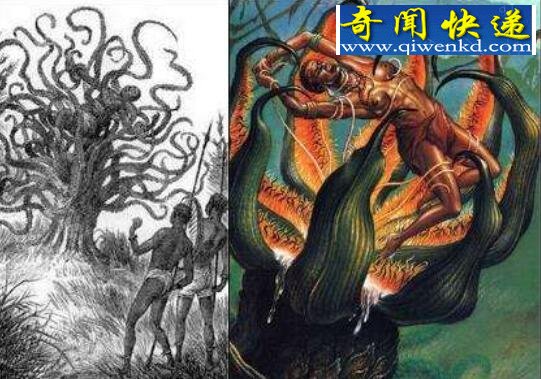 盘点世界上奇异的植物,完全颠覆你的三观