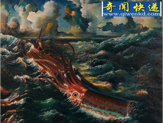 世界上最大的无脊椎动物,大王酸浆鱿(海怪原型)