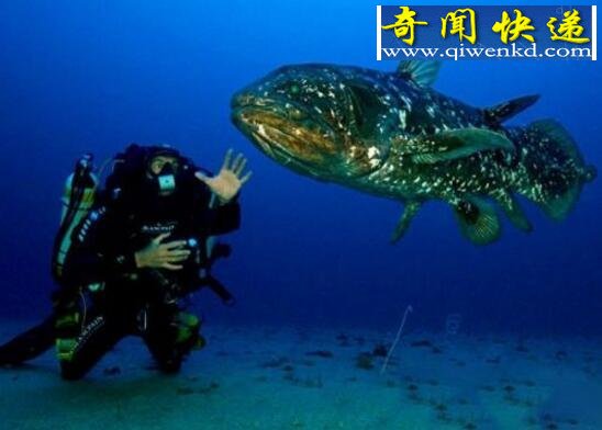 ϵ㣬ǻ(4Ļʯ)