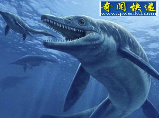 世界上最大的鱼,利兹鱼(长达16.5米/21.5吨已灭绝)