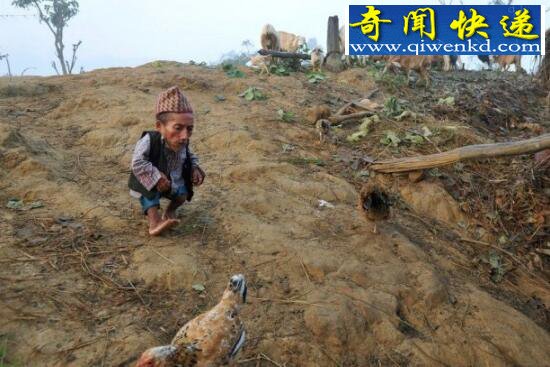 世界最矮的人,能拿公鸡当坐骑(54.6厘米)