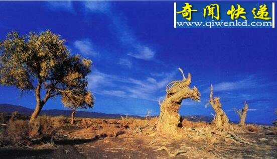 中国最热的地方,吐鲁番盆地达50℃(地势最低-154米)