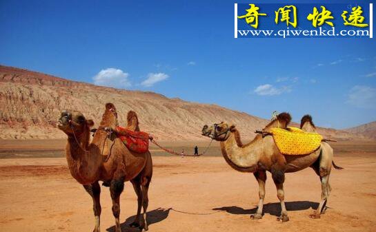 中国最热的地方,吐鲁番盆地达50℃(地势最低-154米)
