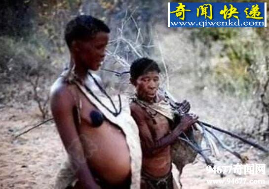 世界上最懒的民族,懒族(衣来伸手饭来张口)