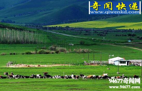 盘点中国四大草原,让你惊叹大自然的鬼斧神工